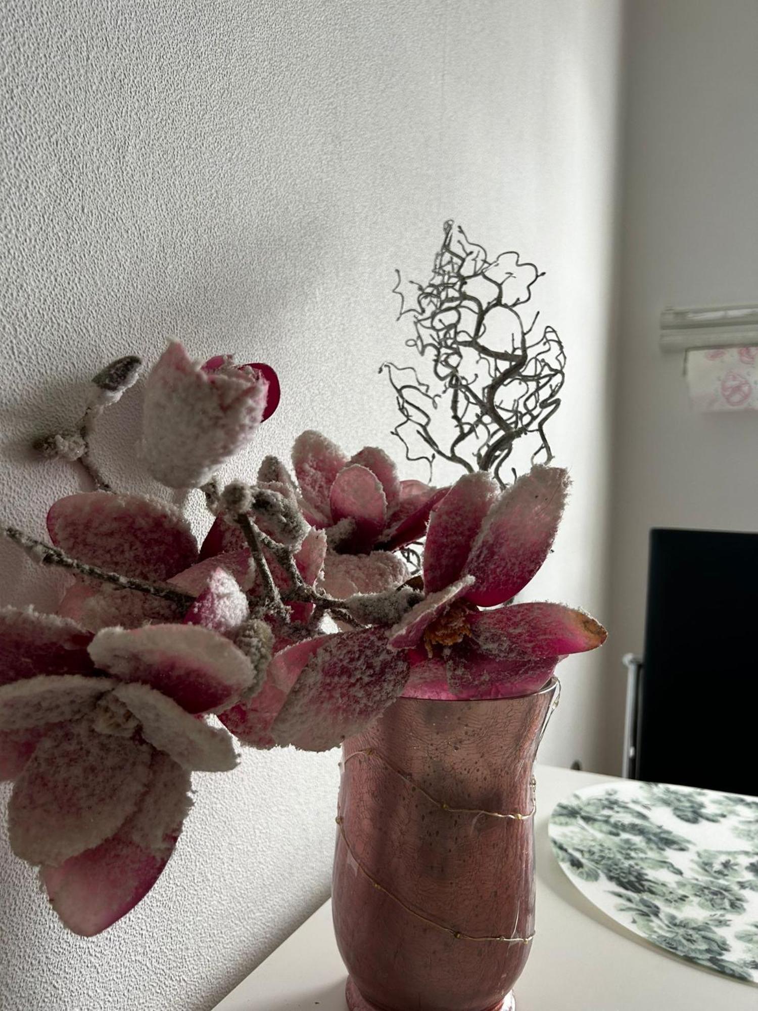 Gemuetliche Ferienwohnung-Appartement Bad Oeynhausen Kültér fotó